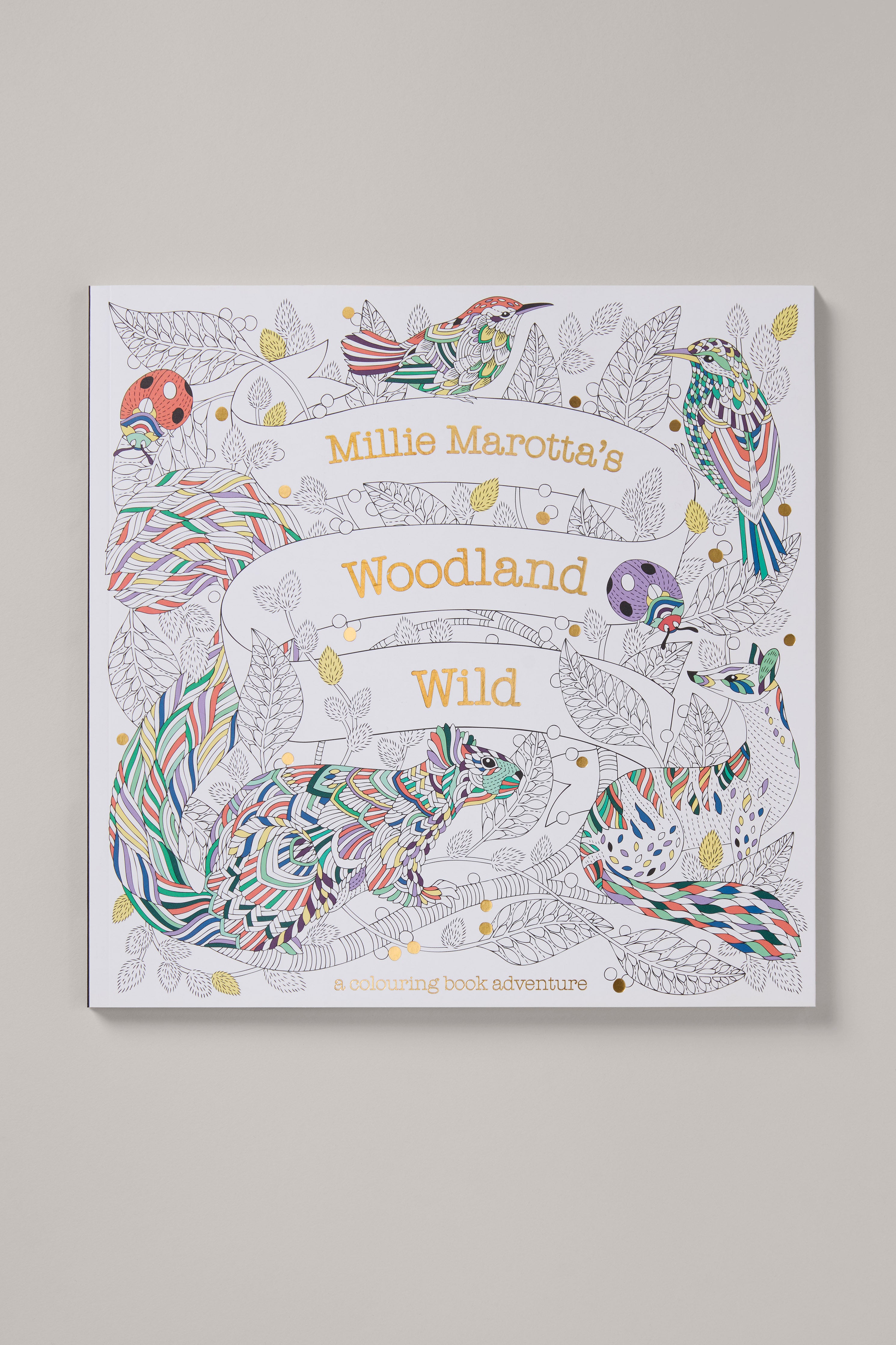 Millie Marotta's Woodland Wild: A Colouring Book Adventure