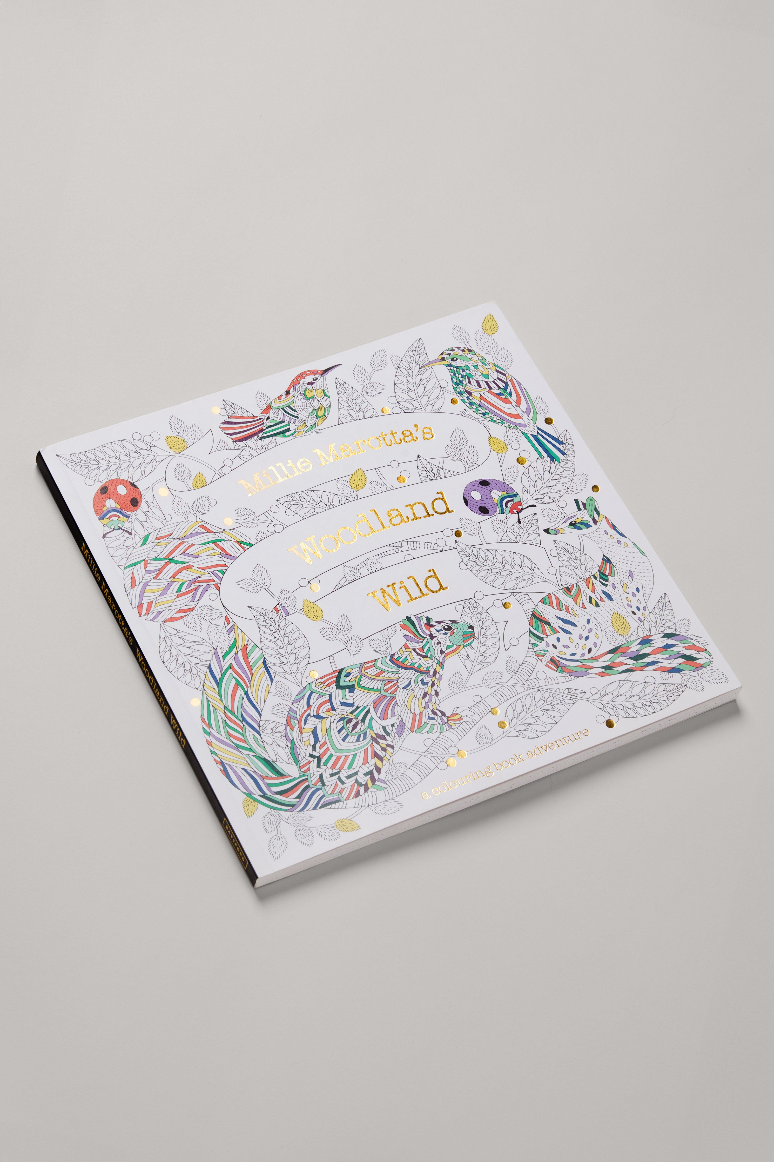 Millie Marotta's Woodland Wild: A Colouring Book Adventure