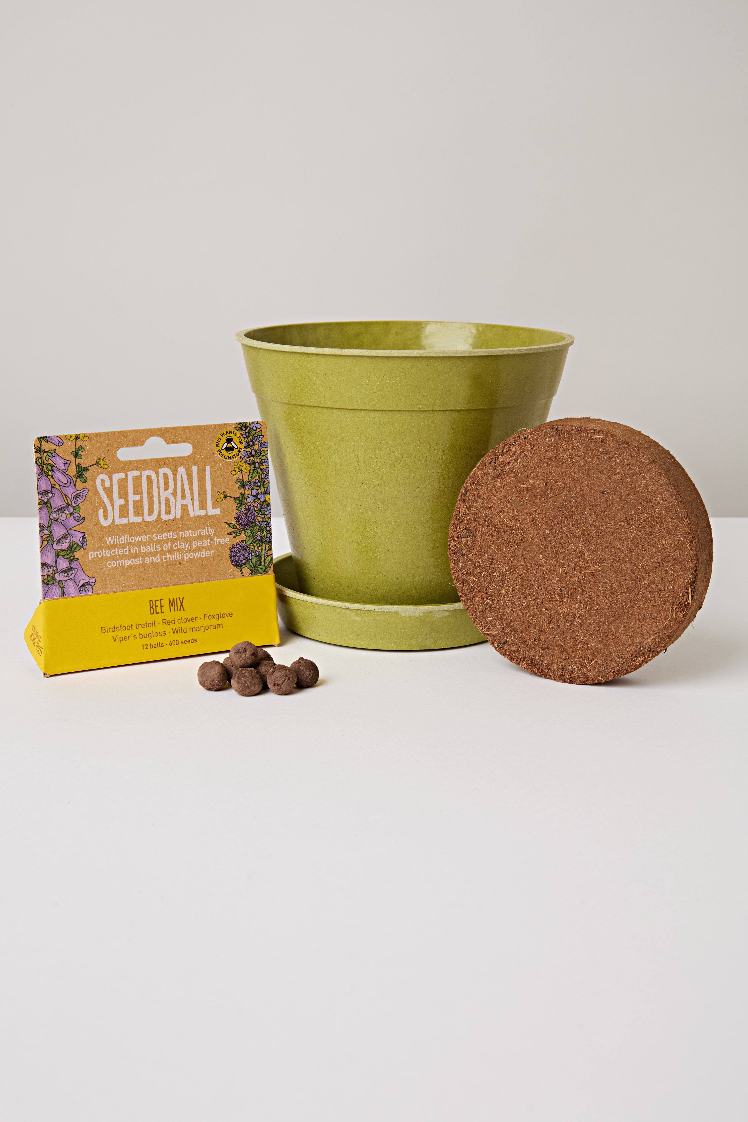 Mini Meadow Seedball Kit