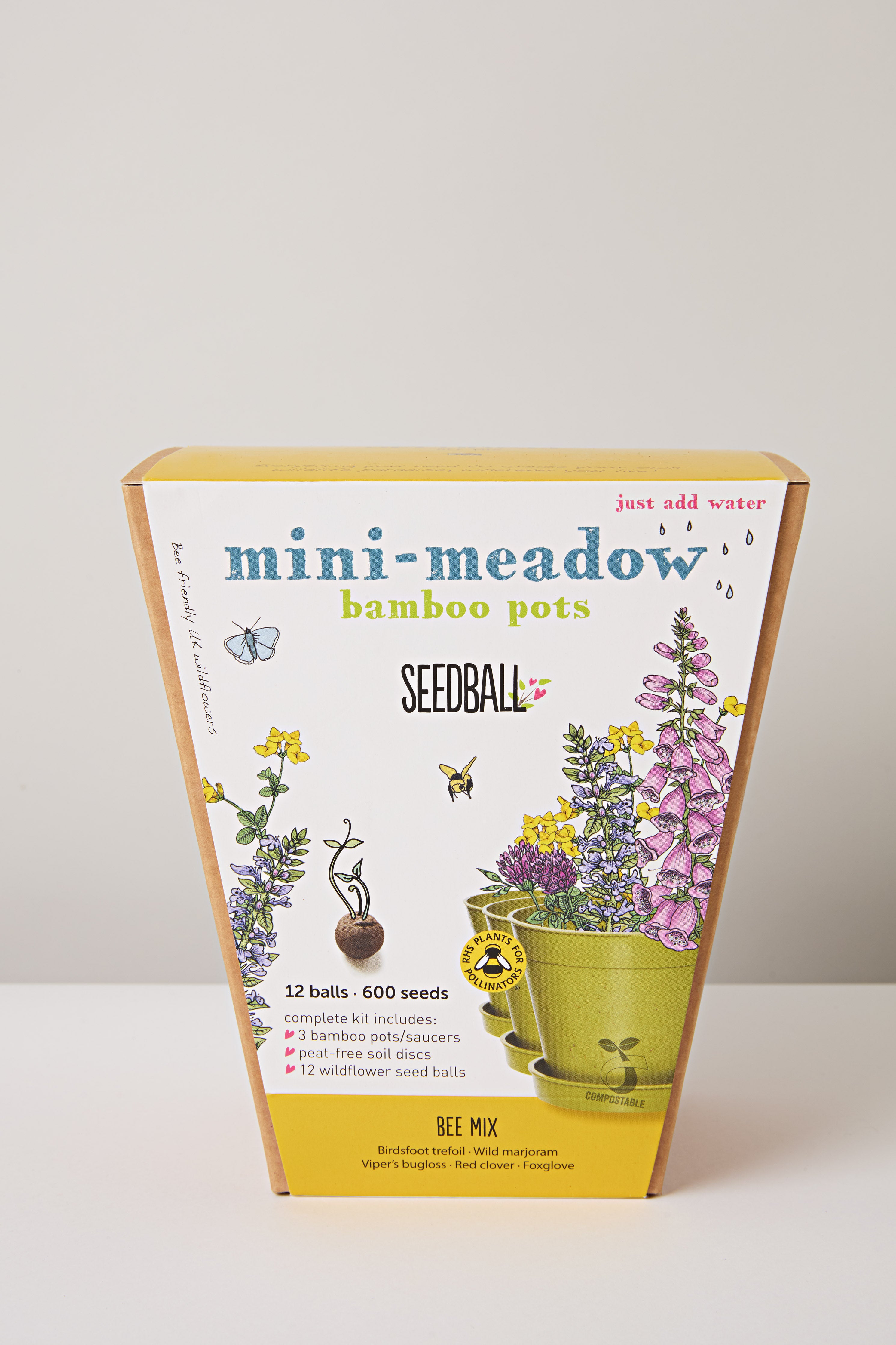 Mini Meadow Seedball Kit