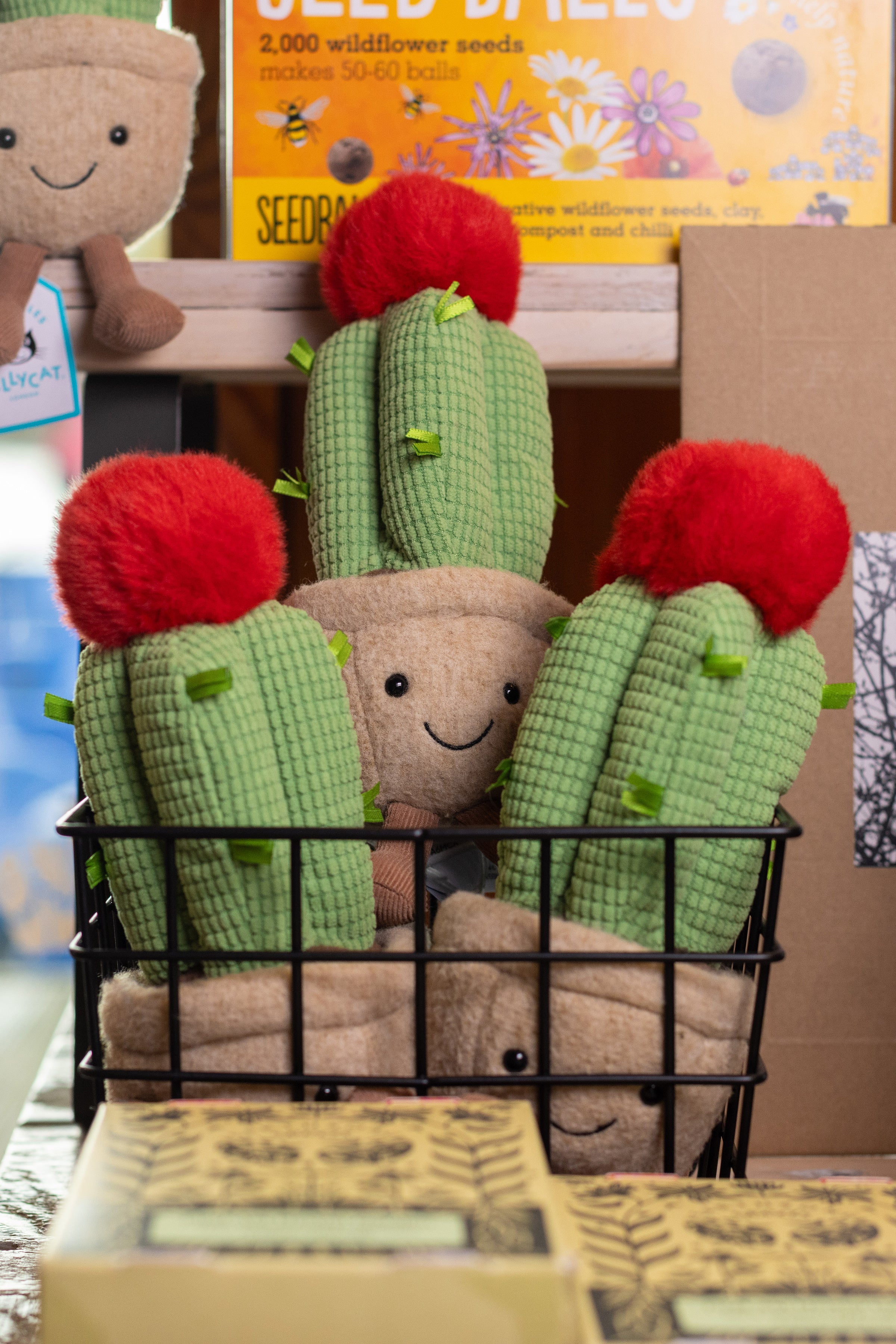 Jellycat Amuseable Moon Cactus Soft Toy