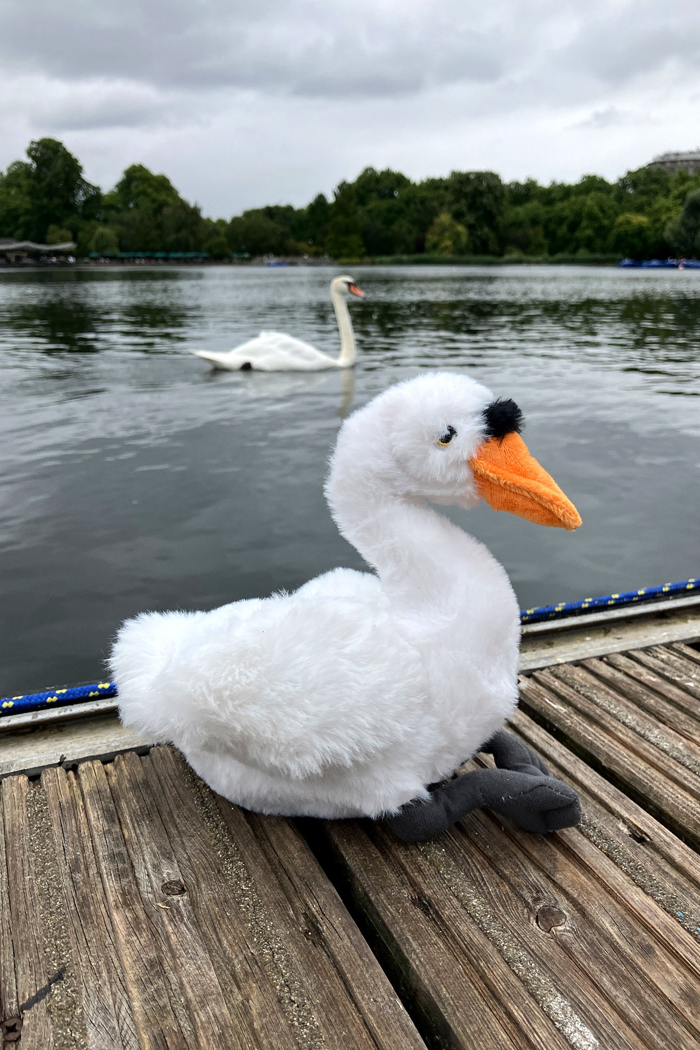 Mute Swan Soft Toy