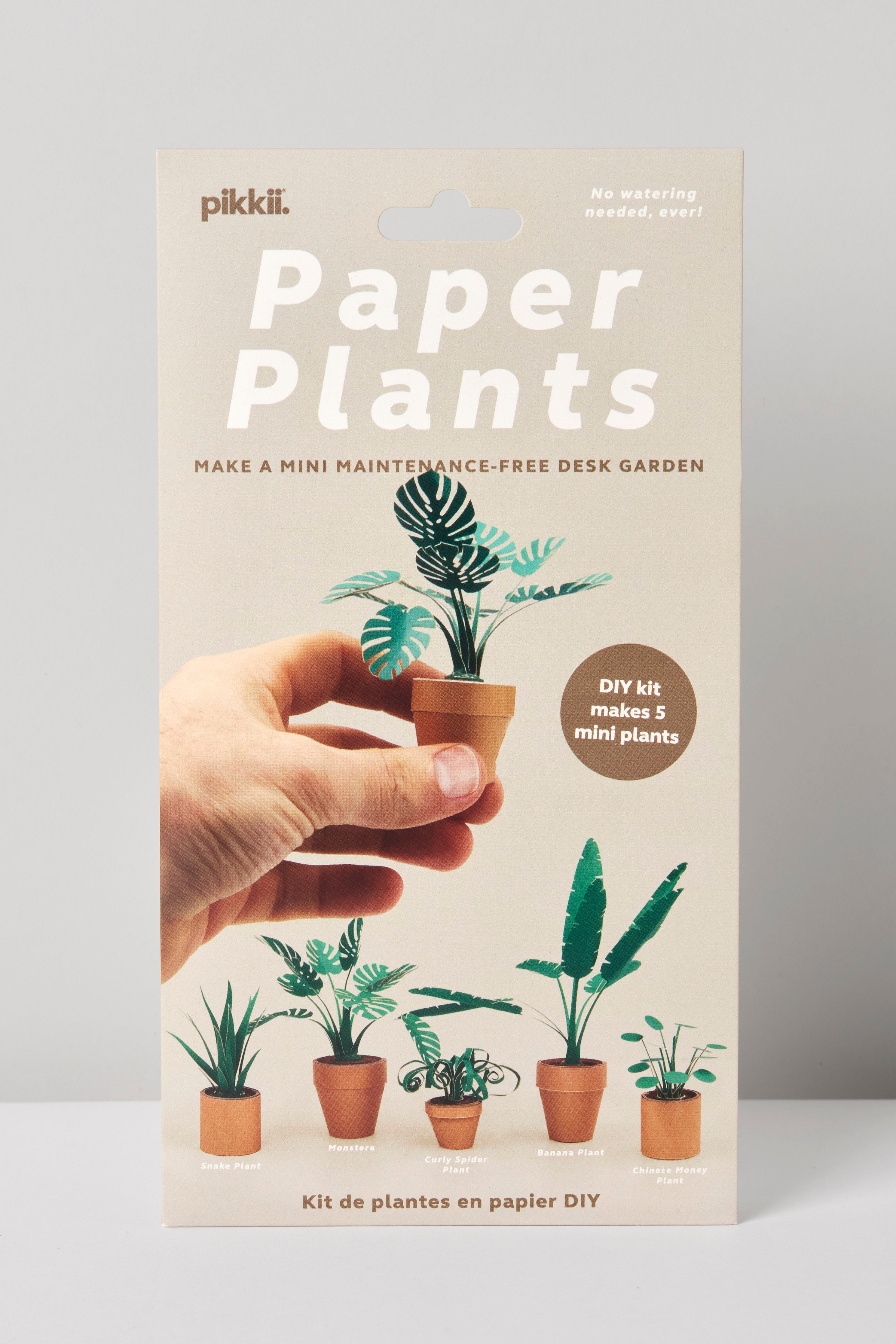 Paper Plants kit