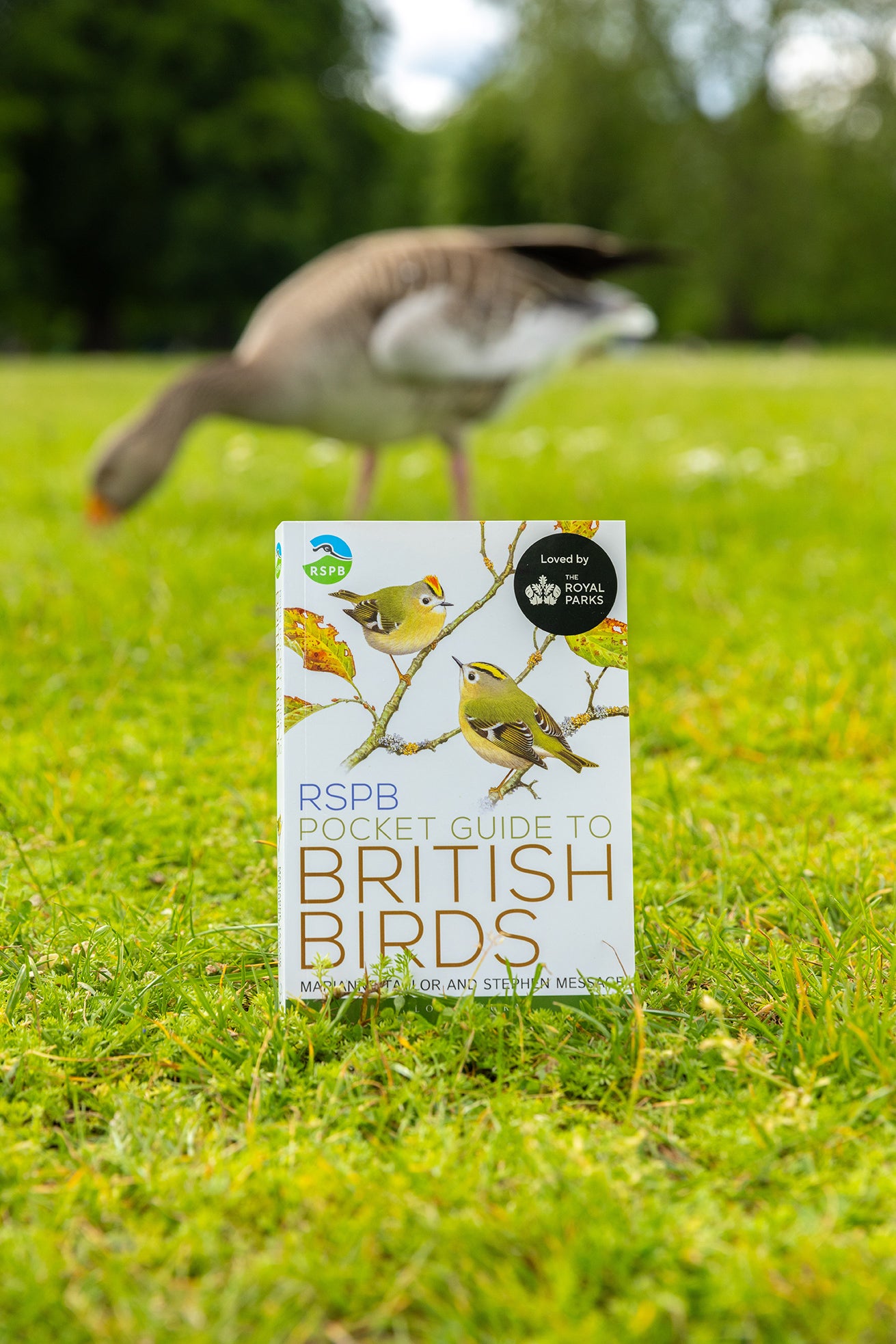 RSPB Pocket Guide To British Birds Book