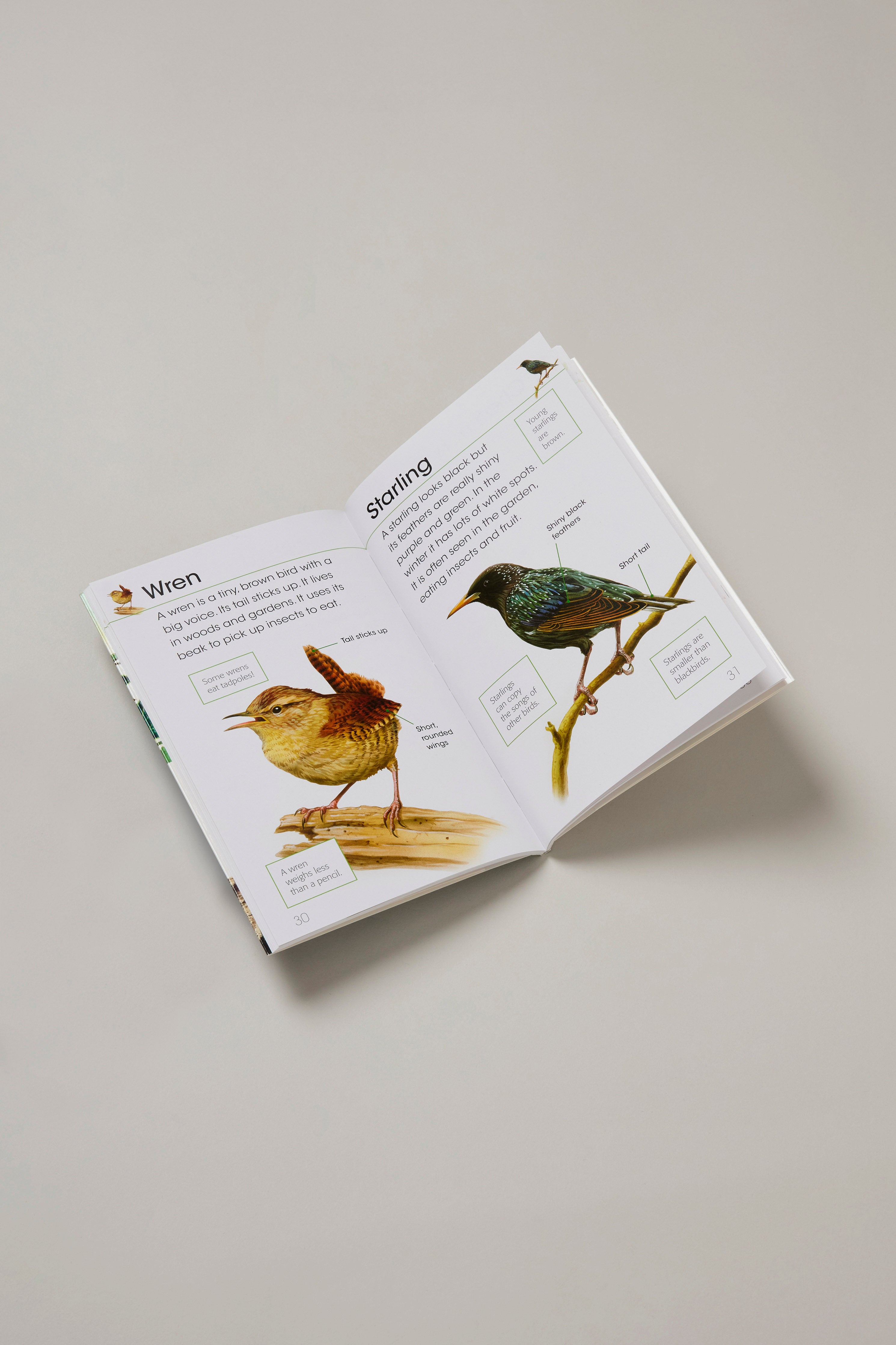 RSPB First Book of Birds