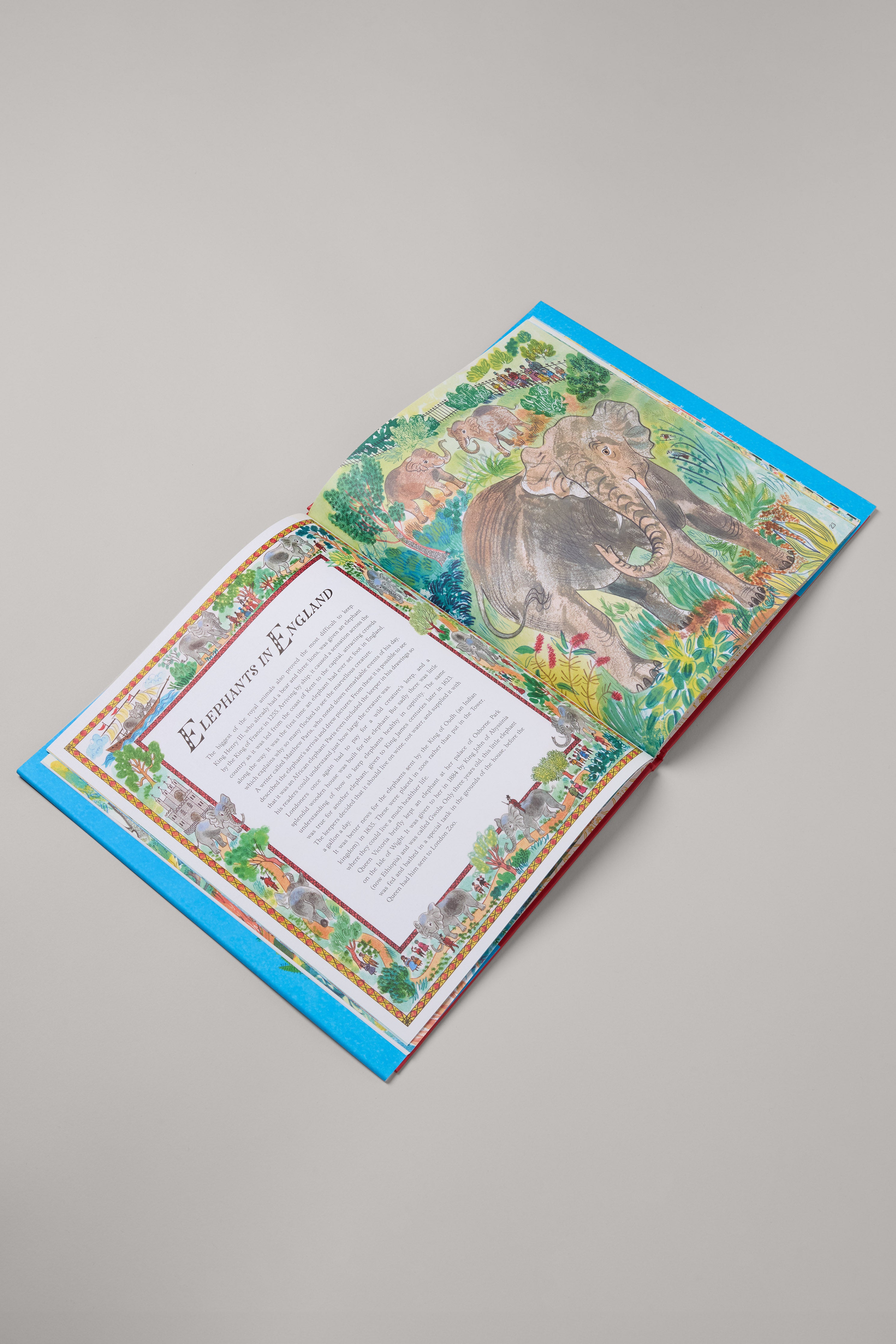 Royal Animals Book