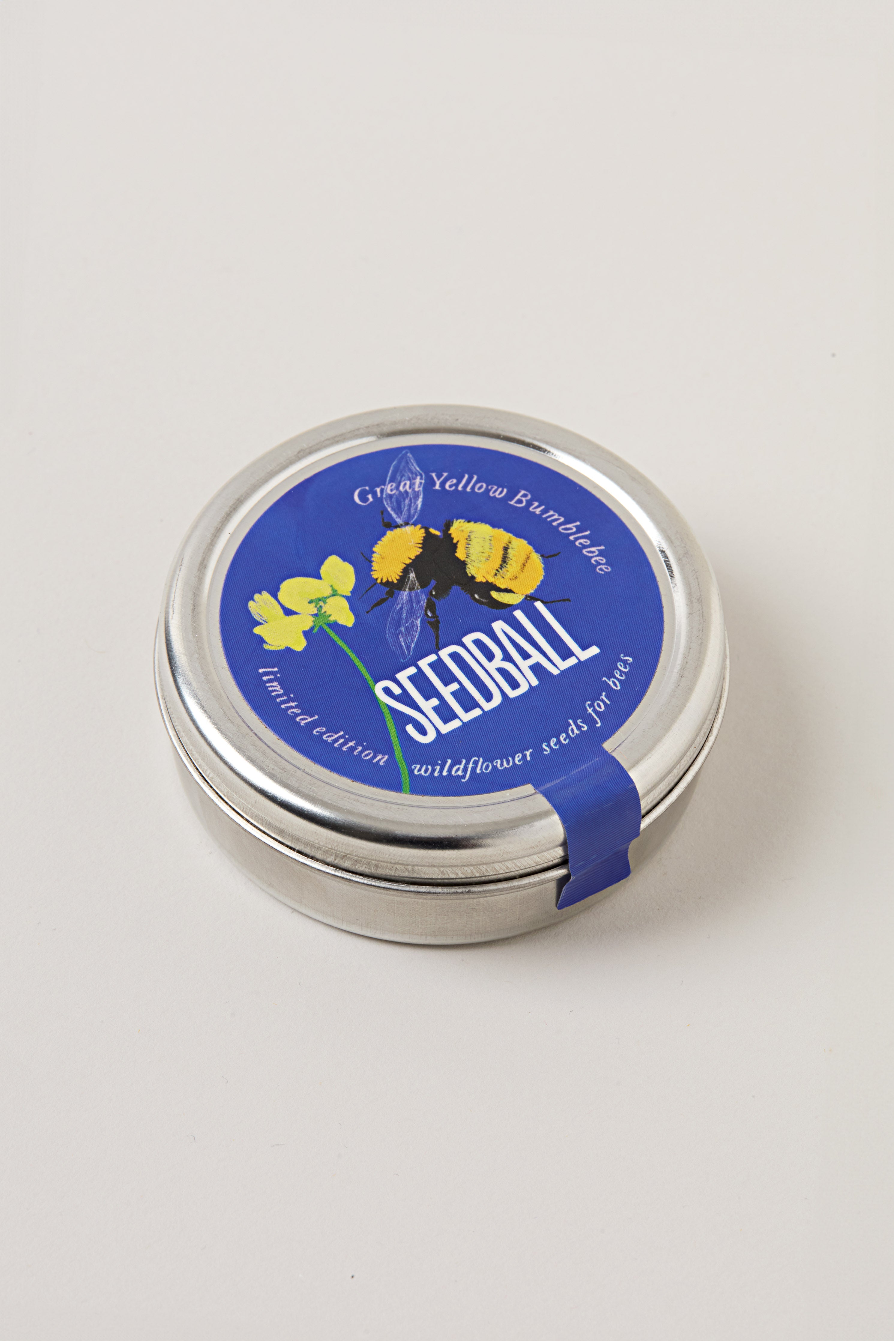 Great Yellow Bumblebee Wildflower Seedballs