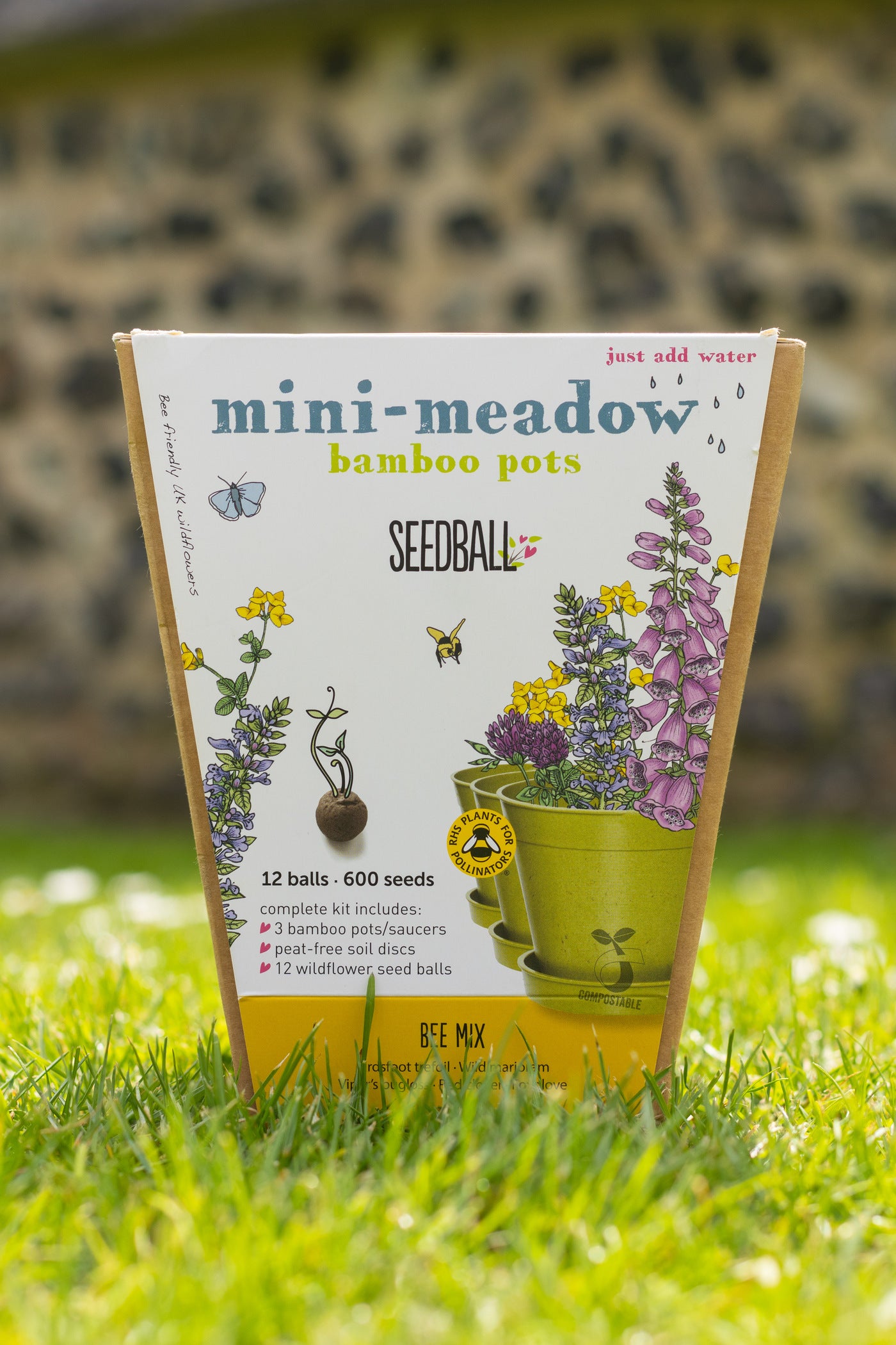 Seedball Mini Meadow Kit