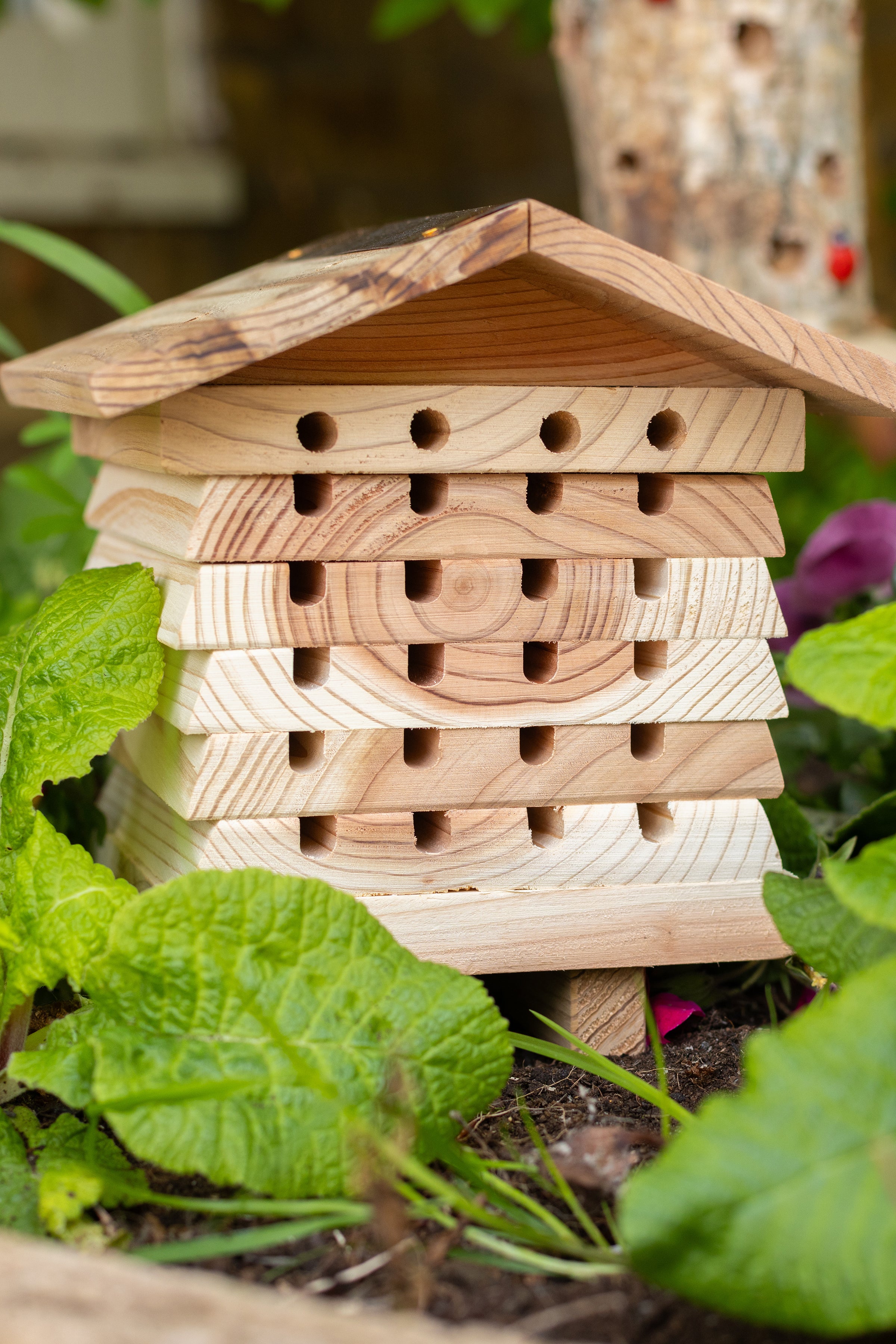 Solitary Bee Hive