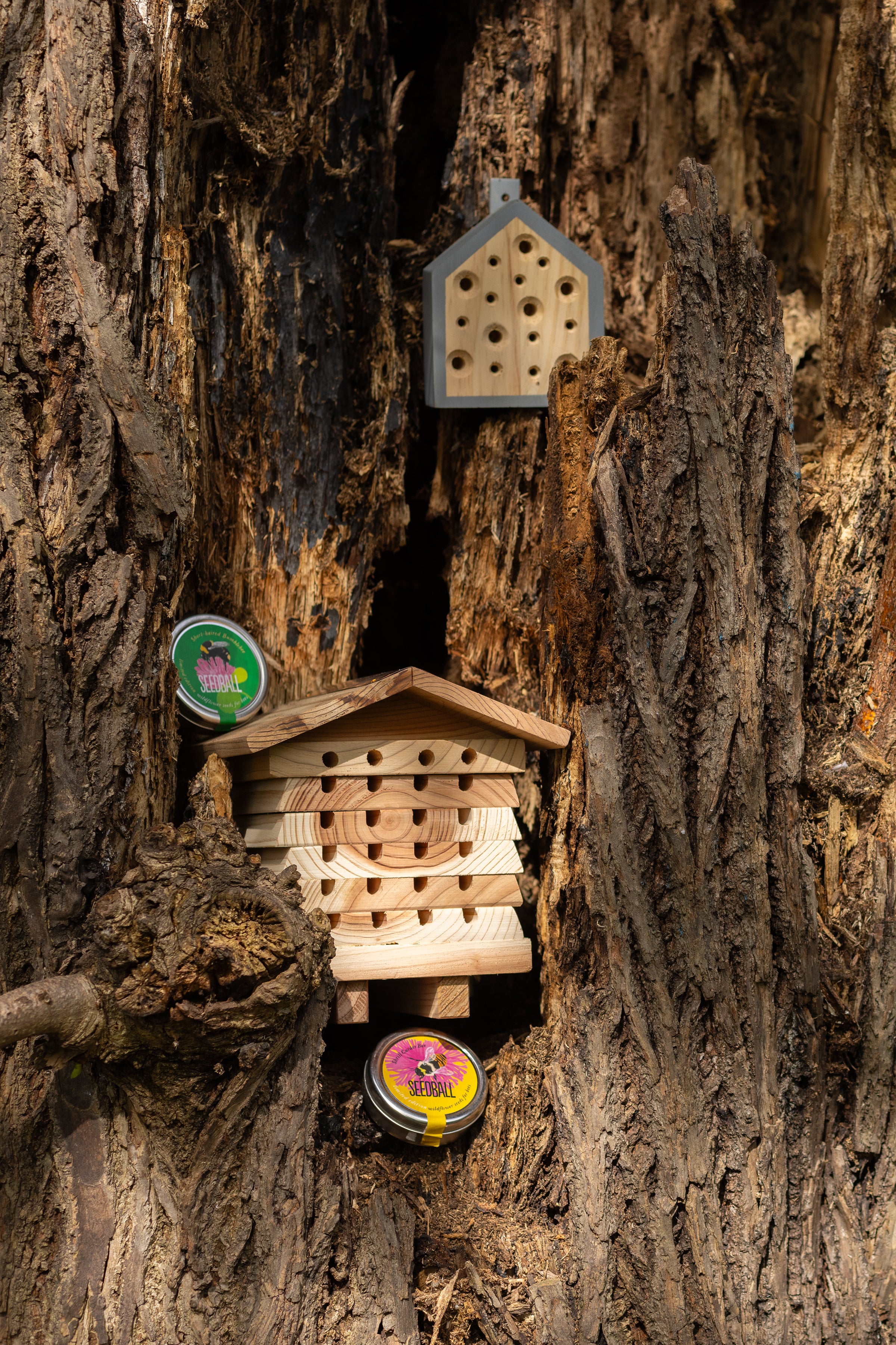 Solitary Bee Hive