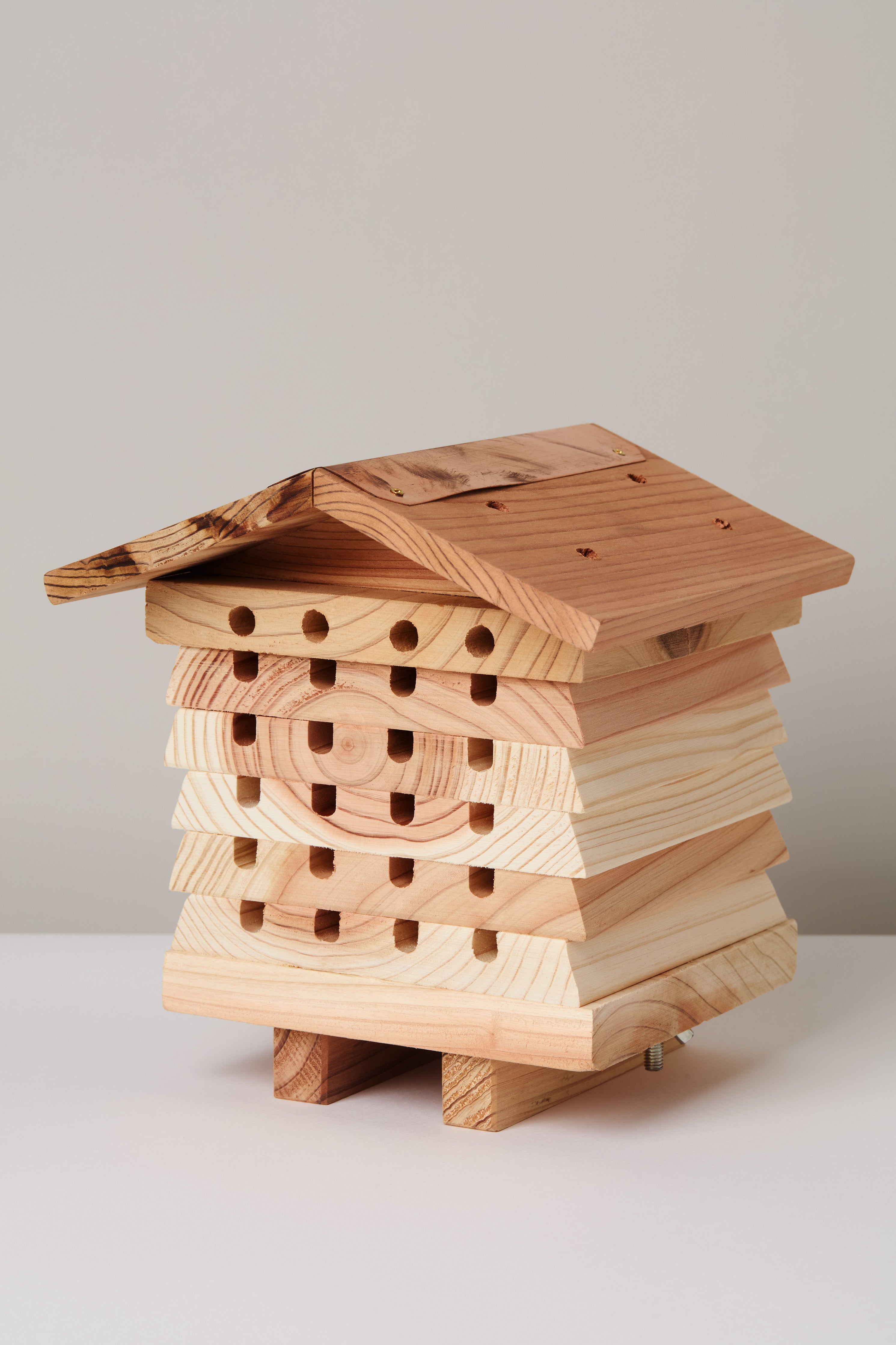 Solitary Bee Hive