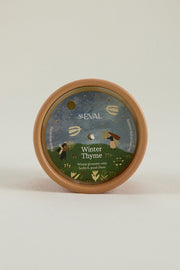 Pot Candle Christmas Terracotta Star Gazy Winter Thyme