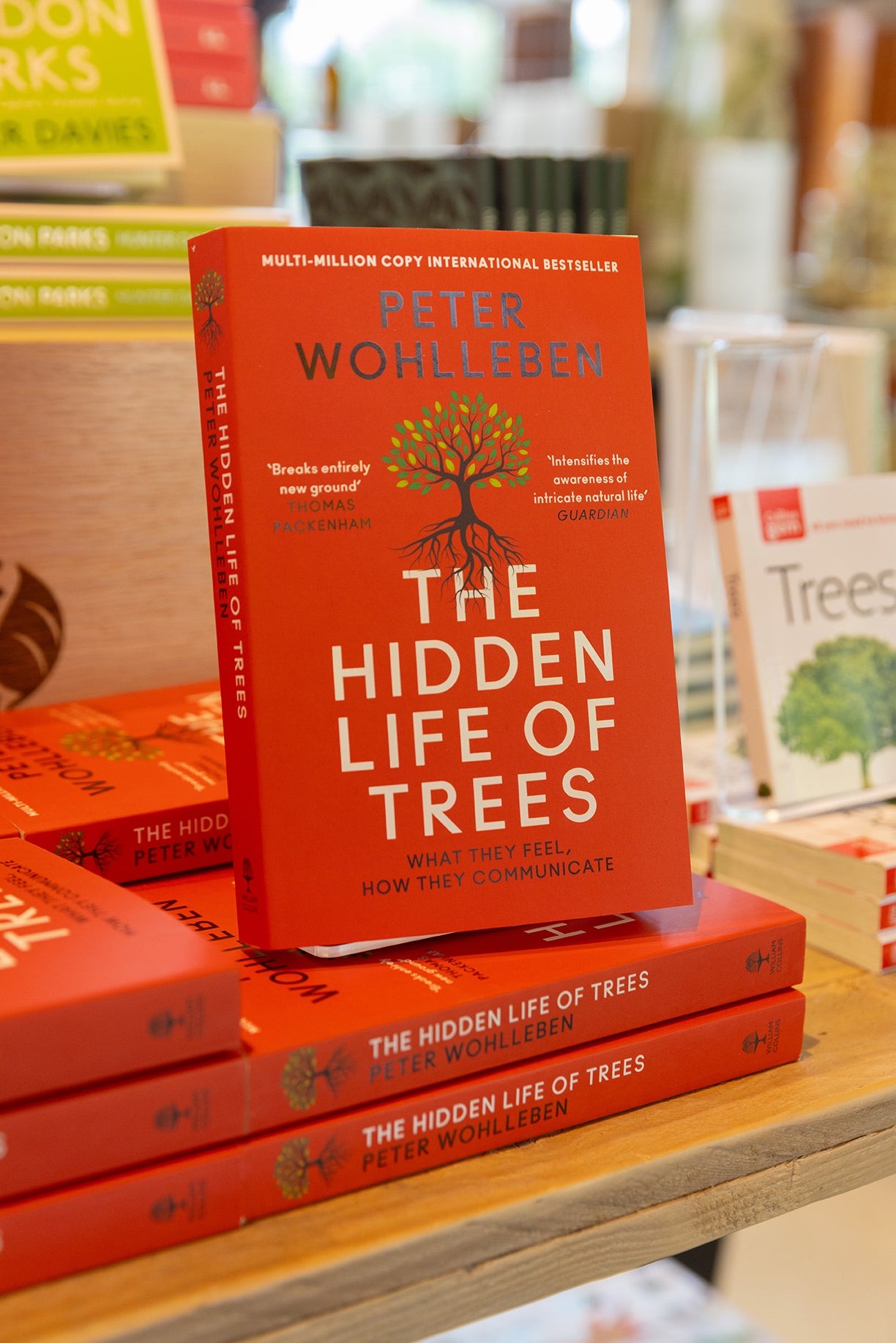 Hidden Life of Trees Book