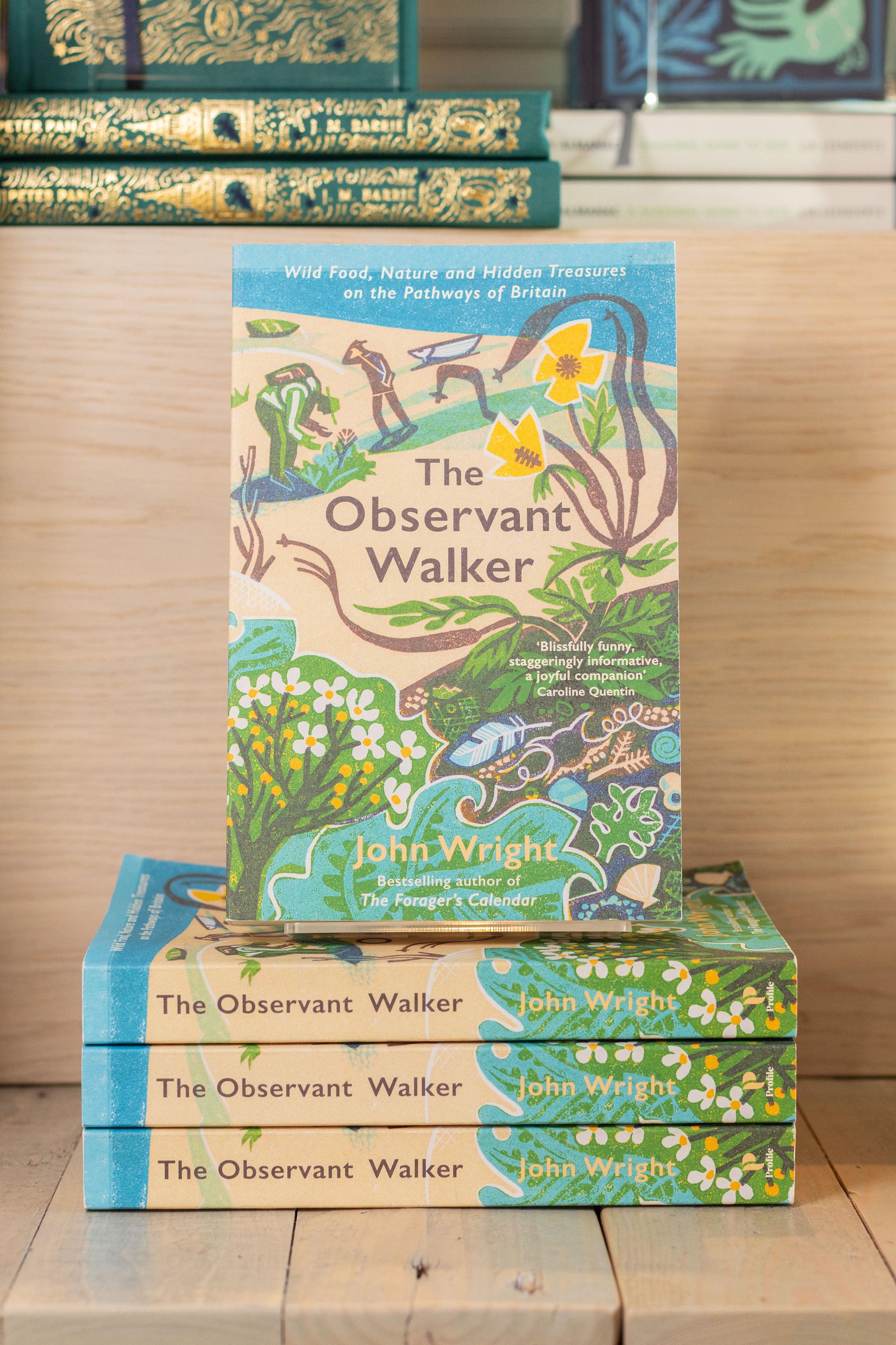 The Observant Walker: Wild Food, Nature and Hidden Treasures on the Pathways of Britain