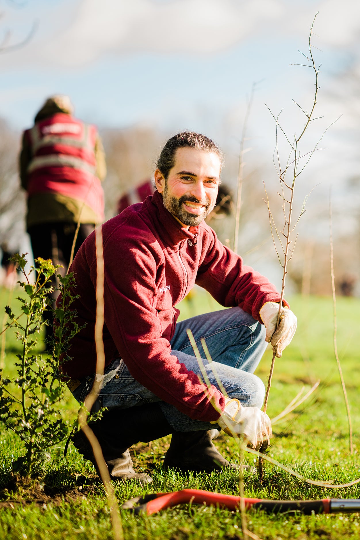 The Royal Parks charity planting saplings