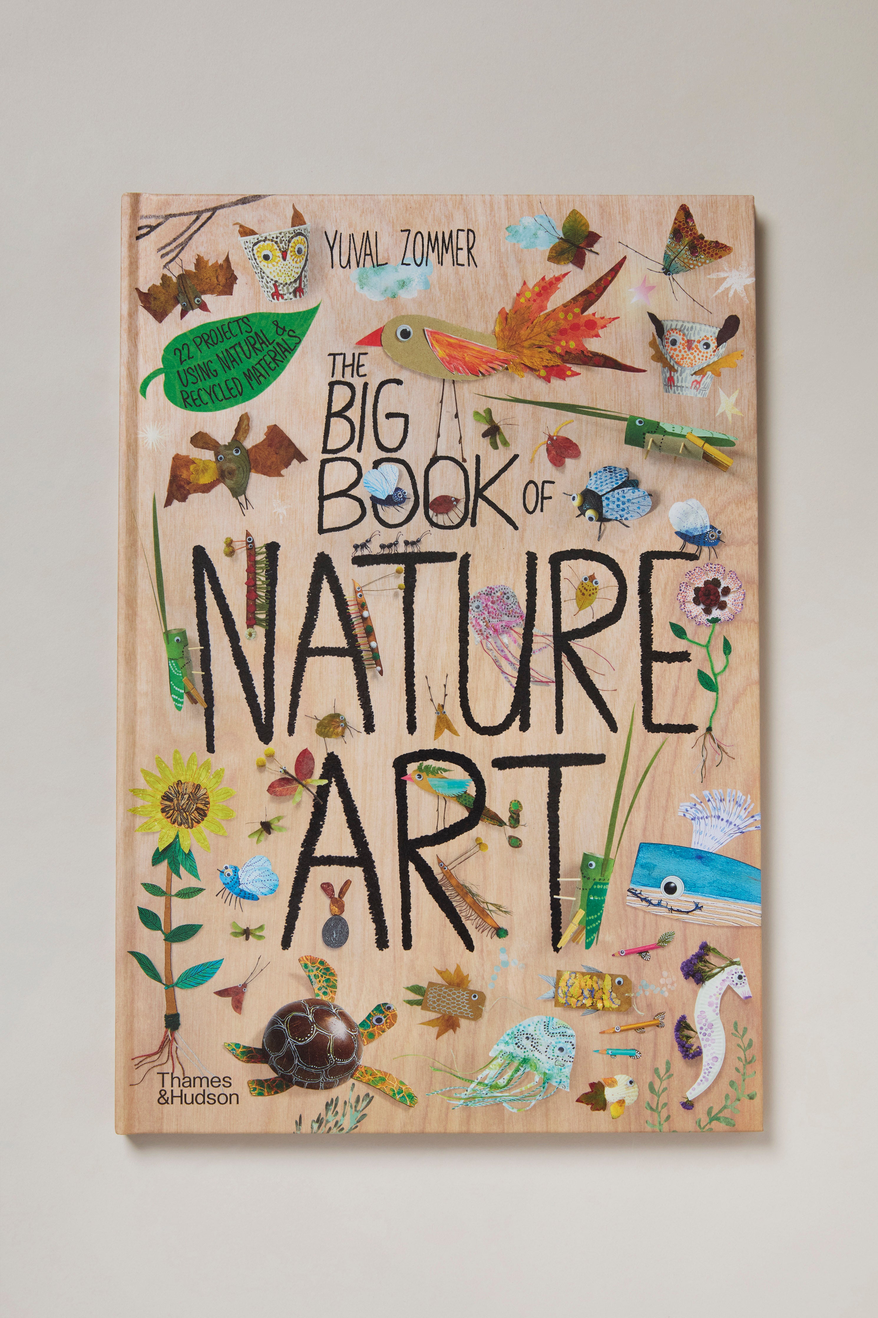 The Big Book Of Nature Art