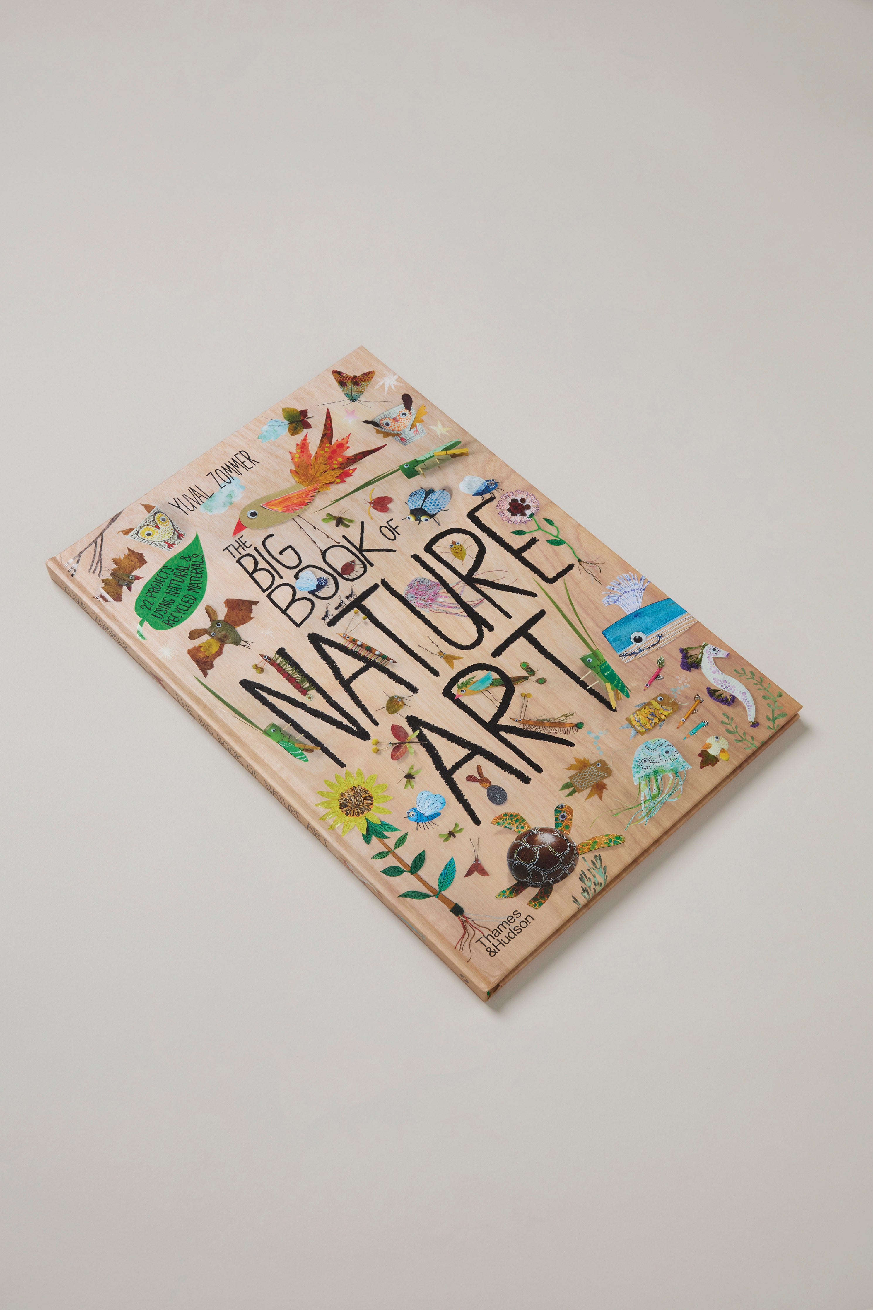 The Big Book Of Nature Art