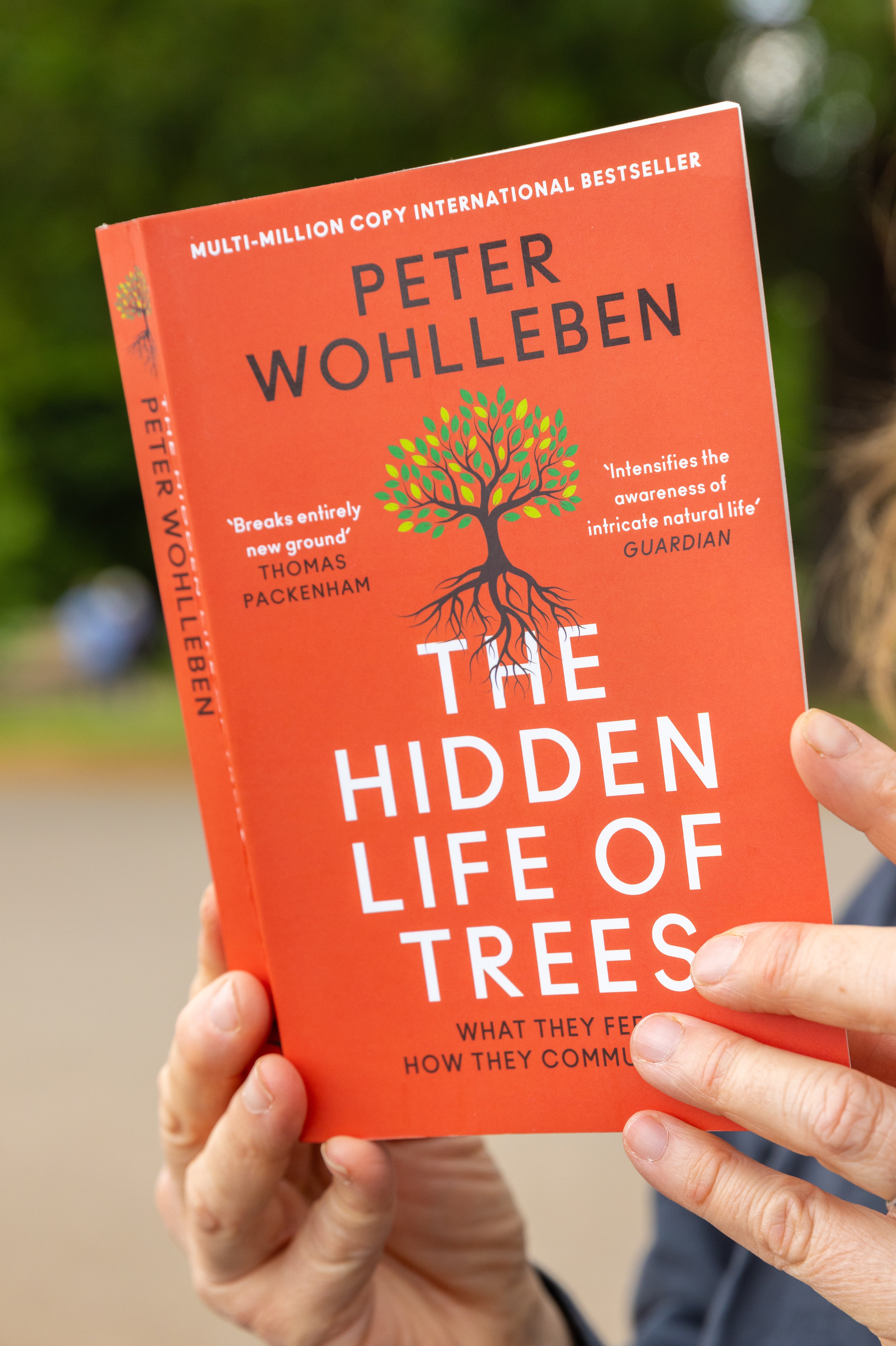 Hidden Life of Trees Book