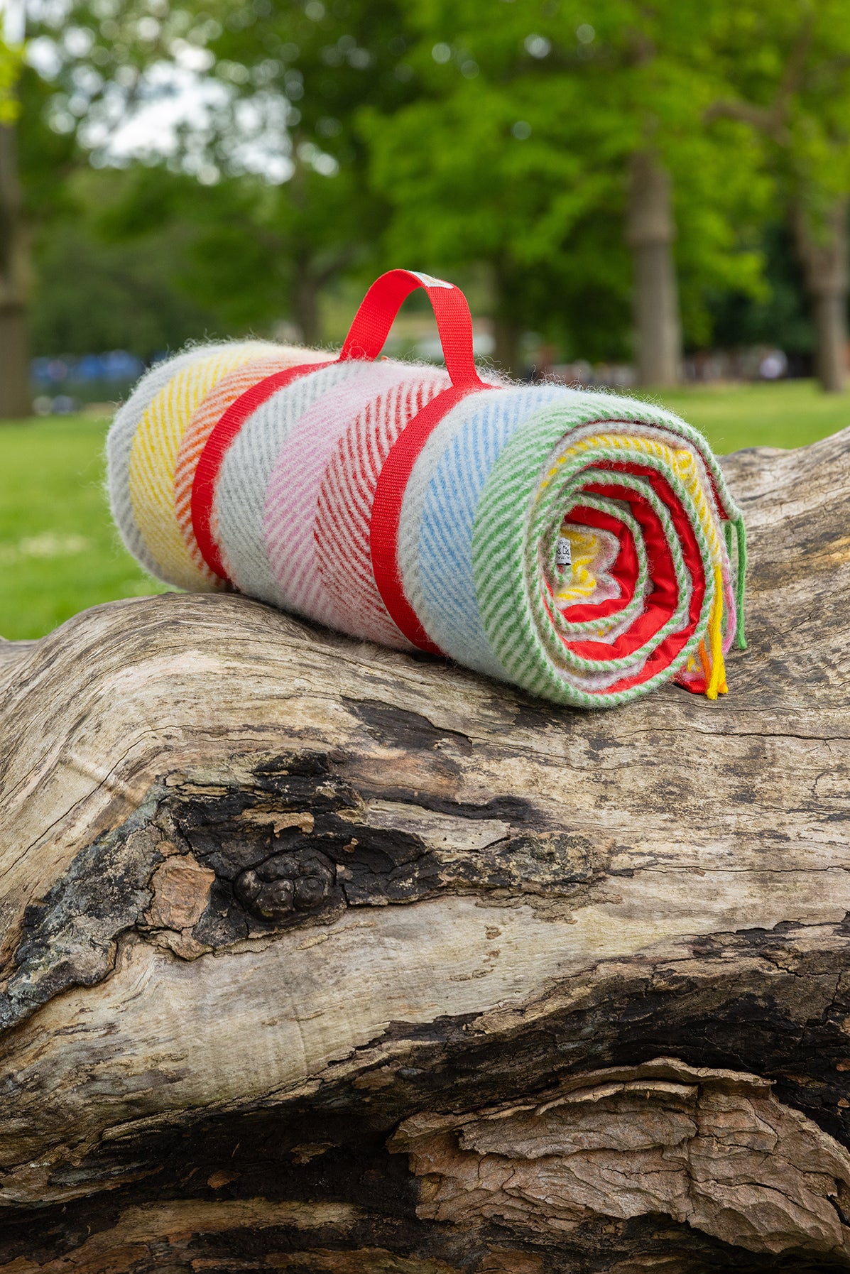 Tweedmill Waterproof Rainbow Stripe Picnic Rug