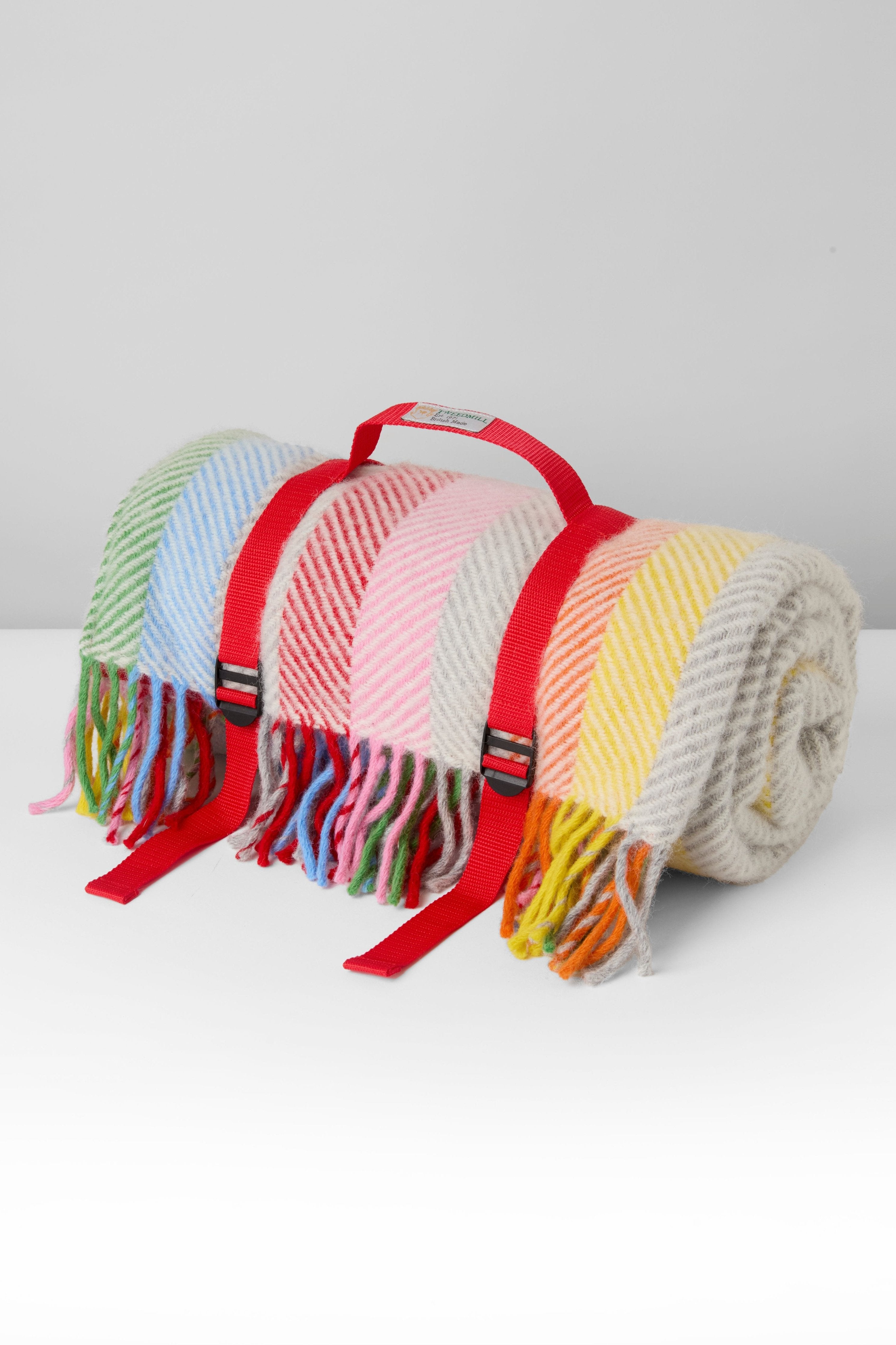 Tweedmill Waterproof Rainbow Stripe Picnic Rug